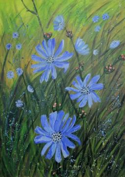 Cikorija (Akril-platno - 70x50) Irena Gorenc